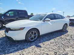 1HGCY1F37RA019358 2024 HONDA ACCORD