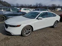 1HGCY1F37RA030389 2024 HONDA ACCORD