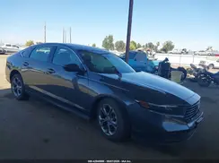 1HGCY1F37RA031221 2024 HONDA ACCORD