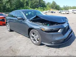 1HGCY1F37RA051128 2024 HONDA ACCORD