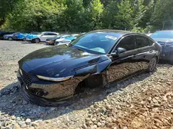 1HGCY1F37RA081777 2024 HONDA ACCORD