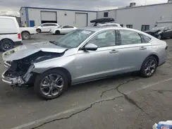 1HGCY1F37RA090009 2024 HONDA ACCORD