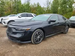 1HGCY1F37RA800381 2024 HONDA ACCORD