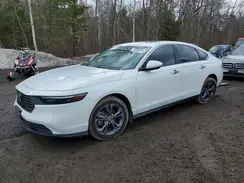 1HGCY1F37RA800560 2024 HONDA ACCORD
