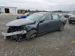 1HGCY1F38PA041446 2023 HONDA ACCORD