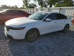 1HGCY1F38RA013147 2024 HONDA ACCORD