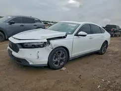 1HGCY1F38RA030451 2024 HONDA ACCORD