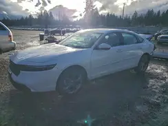 1HGCY1F38RA046634 2024 HONDA ACCORD