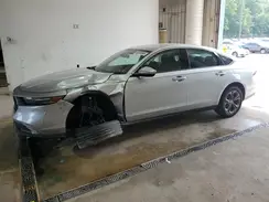 1HGCY1F38RA062560 2024 HONDA ACCORD