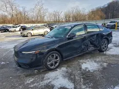 1HGCY1F38RA091248 2024 HONDA ACCORD