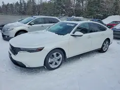 1HGCY1F38RA801118 2024 HONDA ACCORD