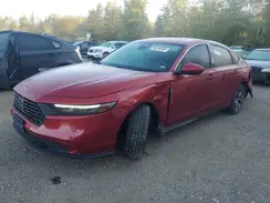 1HGCY1F39PA800587 2023 HONDA ACCORD
