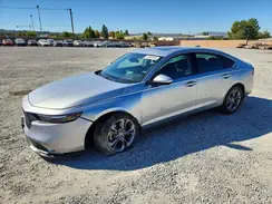 1HGCY1F39RA013030 2024 HONDA ACCORD