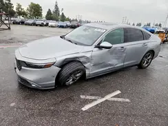 1HGCY1F39RA013822 2024 HONDA ACCORD