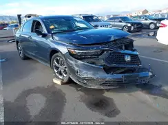 1HGCY1F39RA015697 2024 HONDA ACCORD