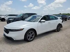 1HGCY1F39RA023959 2024 HONDA ACCORD