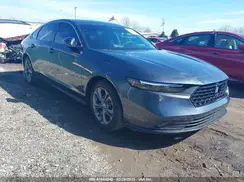1HGCY1F39RA038042 2024 HONDA ACCORD