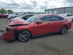1HGCY1F39RA049431 2024 HONDA ACCORD