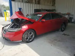 1HGCY1F39RA069257 2024 HONDA ACCORD
