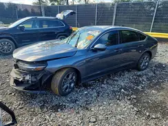 1HGCY1F39RA073504 2024 HONDA ACCORD