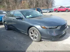 1HGCY1F39RA080601 2024 HONDA ACCORD
