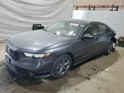 1HGCY1F39RA080825 2024 HONDA ACCORD