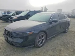 1HGCY1F39RA081926 2024 HONDA ACCORD