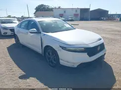 1HGCY1F39RA082509 2024 HONDA ACCORD