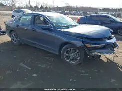 1HGCY1F39RA082719 2024 HONDA ACCORD