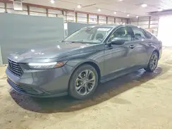 1HGCY1F3XRA003199 2024 HONDA ACCORD