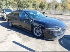 1HGCY1F3XRA006555 2024 HONDA ACCORD
