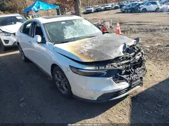 1HGCY1F3XRA023503 2024 HONDA ACCORD