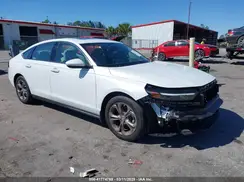 1HGCY1F3XRA028183 2024 HONDA ACCORD
