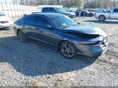 1HGCY1F3XRA031259 2024 HONDA ACCORD