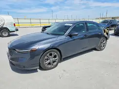 1HGCY1F3XRA077884 2024 HONDA ACCORD