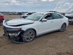 1HGCY1F3XRA078307 2024 HONDA ACCORD