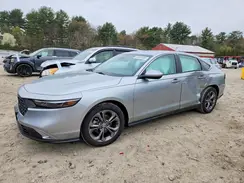 1HGCY1F3XRA086746 2024 HONDA ACCORD