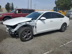 1HGCY1F3XRA092207 2024 HONDA ACCORD