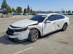 1HGCY1F3XRA092210 2024 HONDA ACCORD
