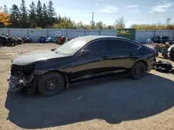 1HGCY1F3XRA800083 2024 HONDA ACCORD