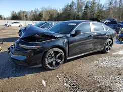 1HGCY2F50RA801251 2024 HONDA ACCORD