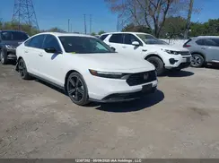 1HGCY2F50RA801279 2024 HONDA ACCORD