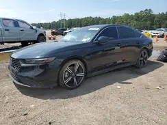 1HGCY2F51RA002739 2024 HONDA ACCORD