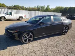 1HGCY2F51RA006807 2024 HONDA ACCORD