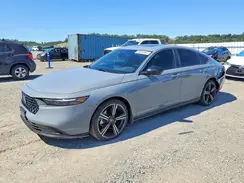 1HGCY2F51RA013286 2024 HONDA ACCORD