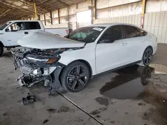 1HGCY2F51RA019007 2024 HONDA ACCORD