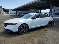 1HGCY2F51RA092569 2024 HONDA ACCORD