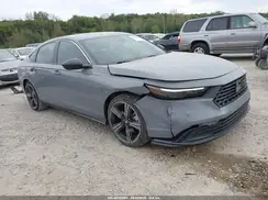 1HGCY2F59RA051560 2024 HONDA ACCORD