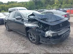 1HGCY2F61RA000112 2024 HONDA ACCORD