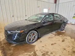 1HGCY2F61RA021719 2024 HONDA ACCORD